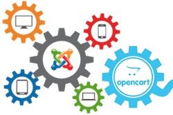 Opencart web development company