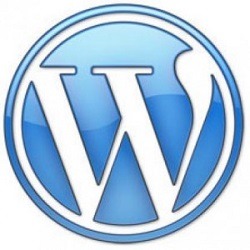 Ensuring WordPress Security WordPress web design company